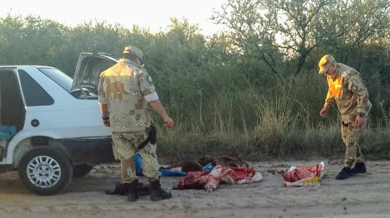 Dos cazadores furtivos detenidos y otro prófugo